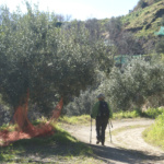 azienda_agricola_billari (2) azienda_agricola_billari (2)