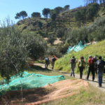 azienda_agricola_billari (3) azienda_agricola_billari (3)
