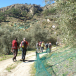azienda_agricola_billari (4) azienda_agricola_billari (4)